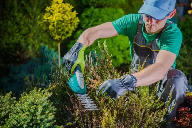 landscaping services Duck Hill